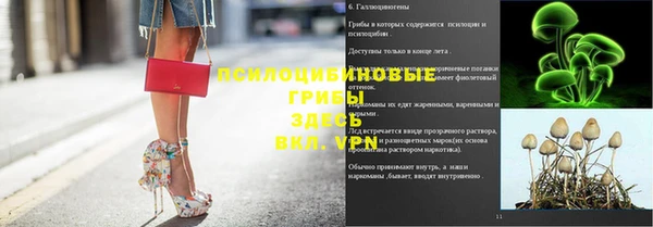 соль ск Алексин