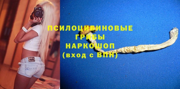 соль ск Алексин