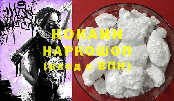 соль ск Алексин