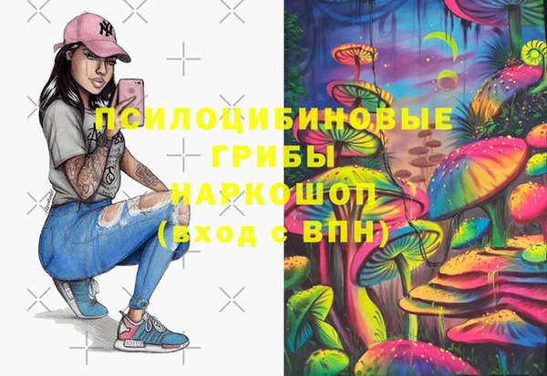 синтетический гашиш Алексеевка